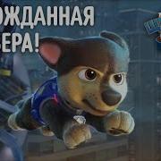 Щенячий Патруль Райдер И Гонщик