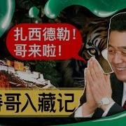 拉萨之虎