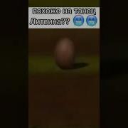 Похоже На Танец Литвина