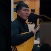 Uyghur Naxsha