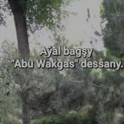 Ayal Bagsy