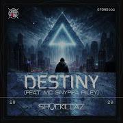 Shockillaz Destiny
