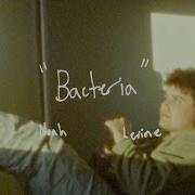 Bacteria Noah Levine