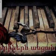 Tarinere Ancan