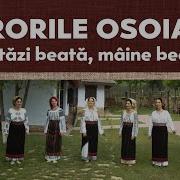 Surorile Osoianu Azi Is Beata Danaga Remix