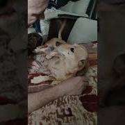 А Я Поняла Ты Умственно Отсалый Да