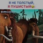 Я Не Толстый Я Пушистый