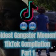 Moments Gang Tiktok