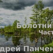 02 04 Андрей Панченко Болотник Книга 2 Часть 04