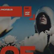 Morbus Rokhai Bow