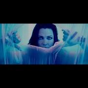 Evanescence Better Without You Live