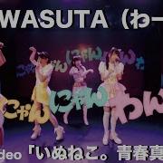 Official Music Video By Wasuta Inu Neko Seishun Massakari いぬねこ 青春真っ盛り いぬねこ