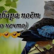 Крики Кукабары
