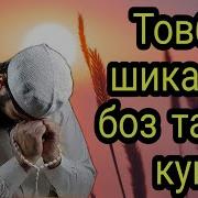 Мавлави Хаётудин
