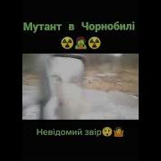 По Многочисленным Просьбам Буду Вы Бываться