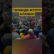 Кыргызстандагы Жаны Жанылыктар