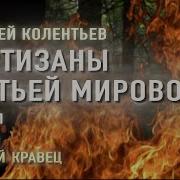 Партизаны Третей Мировой