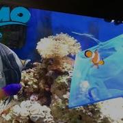 Finding Nemo The Live Action Remake Part 23