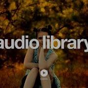 Bird Creek Aurora Borealis No Copyright Music