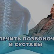 Здоровый Позвоночник И Суставы Шишонин