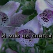 А Мне Не Спится Минус