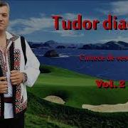 Tudor Diaconu Colaj Cu Muzica De Veselie Vol 2