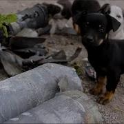 Трагедия В Сартане Три Года Спустя