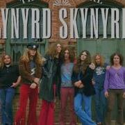 Lynyrd Skynyrd Simple Man Instrumental