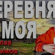 Деревня Моя 2019 Под Баян Поет Вячеслав Абросимов