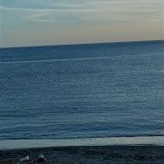 Blue Sea