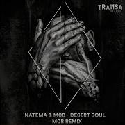Desert Soul Remix