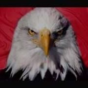 Eagle Screech Sound Effect