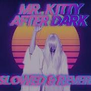 Mr Kitty After Dark Retrowave Remix Slowed And Reverb