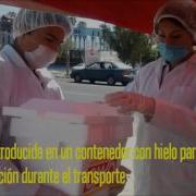 Toma Manejo Y Transporte De Muestras Para Su Análisis Microbiologico