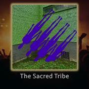 Higher Extended Extended Mr Moudz