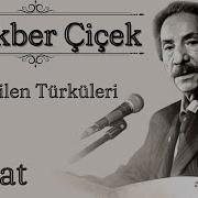 Ali Ekber Çiçek