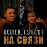 На Связи Bodiev Ганвест