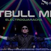 Remix Pitbull