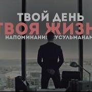 Твой День Твоя Жизнь