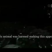 Rspca Advert 2001