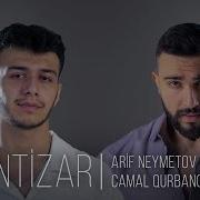 Arif Nemetov