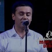 Otabek Muhammadzohid Mayli Telba Denglar Concert Version