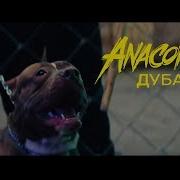 Дубак Anacondaz