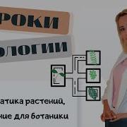 Систематика Растений Её Значение Для Ботаники