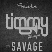 Скачать Timmy Trumpet Freaks