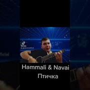 Птичка Cover