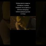Шрек Фонк