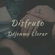 Disfruto Mi Vida Dj Perfect Mi