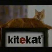Китикет 1997