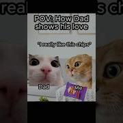 Back Cat Meme
